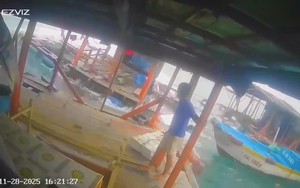 Bão số 15: Hàng tỷ đồng hải sản nuôi ở Phú Quý trôi ra biển