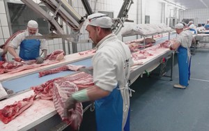 Nhiều nước ngừng nhập khẩu thịt heo từ Tây Ban Nha