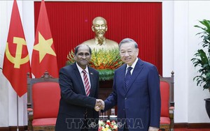 Tổng Bí thư Tô Lâm tiếp Đại sứ Singapore tại Việt Nam