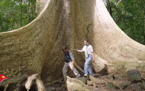 Việt Nam đi là ghiền - Mùa 4 - Tập 30: Có hẹn với vườn quốc gia Cát Tiên