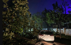 Thiệt hại nặng nề do bão số 13 gây ra: 5 người tử vong và hàng nghìn nhà cửa bị tàn phá