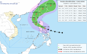 Bão Fung Wong giật trên cấp 17, di chuyển nhanh