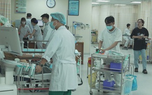 Vi khuẩn Salmonella gây ngộ độc bánh mì: Hơn 80 người nhập viện tại TP. Hồ Chí Minh