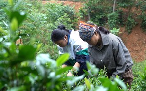 Em Hòa vượt nghịch cảnh, chăm mẹ và anh trai bệnh tâm thần - Mái ấm gia đình Việt