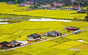 Mức thu tiền sử dụng đất khi chuyển đất nông nghiệp sang đất ở từ 1/1/2026