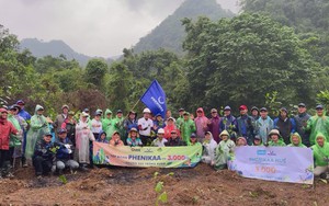 Trồng rừng đầu nguồn hướng tới giảm rủi ro thiên tai và biến đổi khí hậu