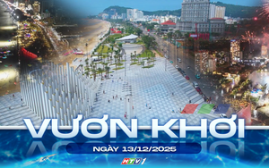 Vươn khơi - Ngày 13/12/2025 | Vũng Tàu sẽ diễn ra nhiều hoạt động chào năm mới 2026