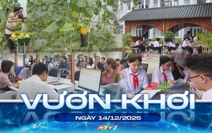 Vươn khơi - Ngày 14/12/2025 | Tập trung nâng cao chỉ số cải cách hành chính và mức độ hài lòng của người dân, doanh nghiệp