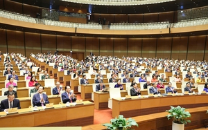 Từ ngày 15/12, TP. Hồ Chí Minh tiếp nhận hồ sơ ứng cử đại biểu Quốc hội và HĐND