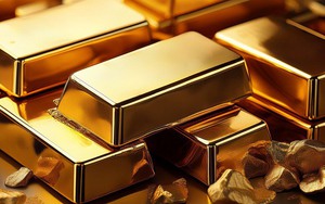 Thị trường ngày 16/12/2025: Vàng giao dịch mức rất cao, xăng dầu giảm trên diện rộng