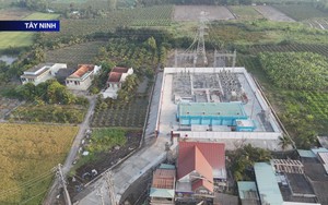 Ngành điện miền Nam tiếp tục khởi công, khánh thành các công trình trọng điểm