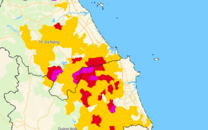 Mưa lớn 254 mm, 81 xã phường ở Đà Nẵng, Quảng Ngãi nguy cơ lũ quét, sạt lở