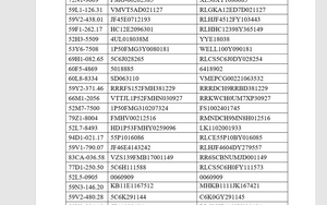 Công an TP. Hồ Chí Minh tìm chủ sở hữu hơn 200 mô-tô quá hạn tạm giữ