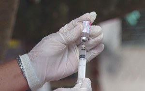 Đẩy mạnh tiêm phòng, bệnh dại tại TP. Hồ Chí Minh được kiểm soát hiệu quả