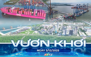 Vươn khơi - Ngày 3/12/2025 | TP. Hồ Chí Minh: Nghiên cứu dự án cảng biển ở khu đất 200.000 m2 tại phường Phú Mỹ