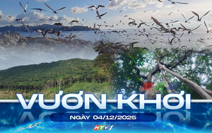 Vươn khơi - Ngày 4/12/2025 | Vườn Quốc gia Côn Đảo: Điểm sáng về bảo tồn thiên nhiên