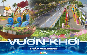 Vươn khơi - Ngày 6/12/2025 | Chỉnh trang đô thị và trang trí Tết Nguyên đán Bính Ngọ 2026