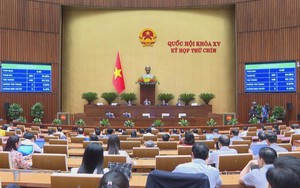 Quốc hội Việt Nam thông qua 6 Luật với đa số phiếu tán thành