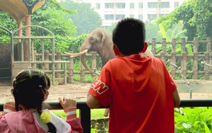 Thảo Cầm Viên Sài Gòn: Hơn một thế kỷ gieo mầm yêu thiên nhiên cho thế hệ trẻ