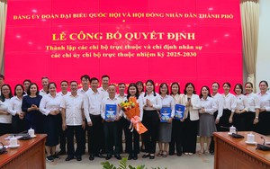 Đảng ủy Đoàn ĐBQH và HĐND TP.HCM thành lập 6 chi bộ