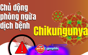NewZgraphic: Dịch bệnh Chikungunya - Gánh nặng vô hình cho cộng đồng