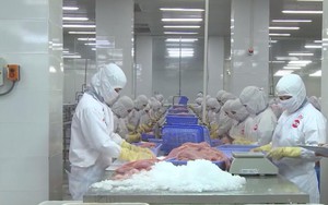 Mở rộng thị trường, nâng tầm hàng Việt trên bản đồ xuất khẩu