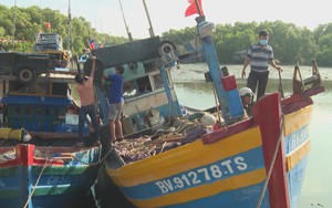 Giá hải sản giảm mạnh, ngư dân gặp nhiều khó khăn