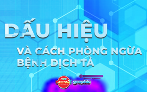 NewZgraphic: Dấu hiệu và cách phòng ngừa bệnh dịch tả