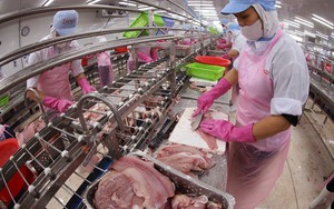 Tiến tới Đại hội XIV của Đảng: Kinh tế Việt Nam vững bước tiến vào giai đoạn mới