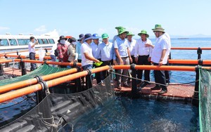 Tiến tới Đại hội XIV của Đảng: Những Nghị quyết mang tính đột phá chiến lược