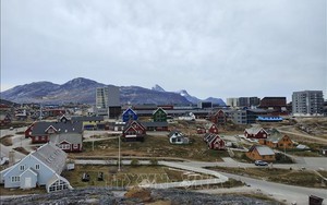 Quan chức EP đề xuất sử dụng nợ của Mỹ để gây áp lực trong vấn đề Greenland