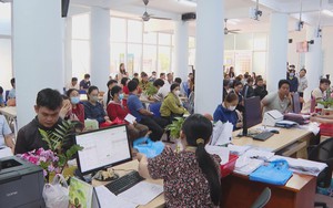 Ngày hội việc làm kết nối đa điểm, mở rộng cơ hội cho người lao động tại TP. Hồ Chí Minh