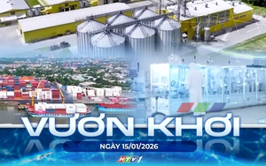 Vươn khơi - Ngày 15/1/2026 | TP. Hồ Chí Minh xây dựng đô thị khoa học công nghệ Bắc TP. Hồ Chí Minh
