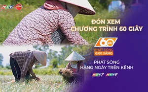 60 Giây ngày 19/1/2026 | Gia Lai: Rộn ràng mùa thu hoạch kiệu Tết