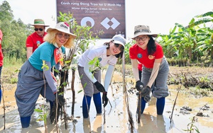 Gaia mở rộng trồng rừng tại U Minh Hạ