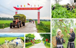 Ban hành Bộ tiêu chí quốc gia về nông thôn mới giai đoạn 2026-2030