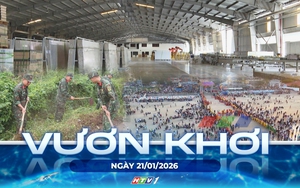 Vươn khơi - Ngày 21/1/2026 | Chỉ số sản xuất công nghiệp phía Đông TP. Hồ Chí Minh giữ mức tăng 4,2%