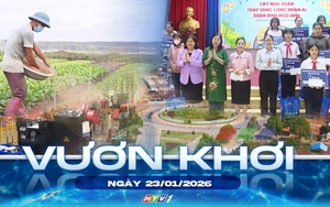 Vươn khơi - Ngày 23/1/2026 | Hộ kinh doanh an tâm kê khai thuế từ 2026