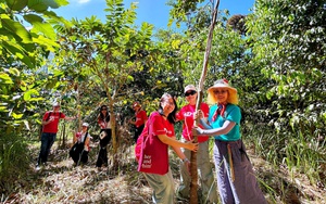 Gaia nghiệm thu thành công gần 29.000 cây rừng tại Bến En và Đồng Nai
