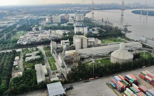 Cùng HTV Hành động xanh 2025: Tăng trưởng xanh