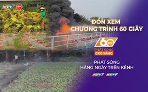 60 Giây ngày 25/1/2026 | Hoa nở sớm trước Tết: Nơi cứu hoa, nơi nhổ bỏ ruộng cúc
