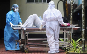 Cập nhật: Vi-rút Nipah ít khả năng bùng phát tại Trung Quốc và Đông Nam Á