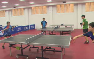 Đại hội Thể thao toàn quốc 2026: TP. Hồ Chí Minh tăng tốc công tác chuẩn bị