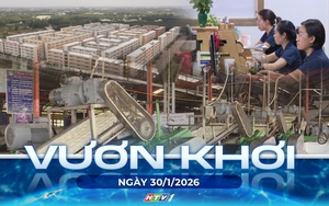 Vươn khơi - Ngày 30/1/2026 | TP. Hồ Chí Minh: Đề xuất dành nhiều khu đất làm dự án nhà ở xã hội