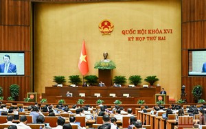 Quốc hội thảo luận dự án Bộ luật Hình sự (sửa đổi)
