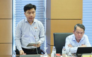 Xác định rõ phạm vi điều chỉnh giữa Luật Đấu giá tài sản với các luật chuyên ngành
