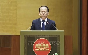 Khắc phục tình trạng 'cò mồi', trục lợi trong đấu giá tài sản
