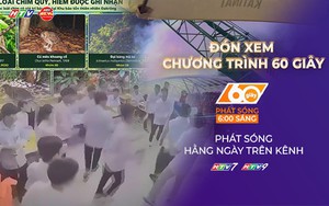 Ghi nhận thêm 35 loài chim mới tại Khu bảo tồn thiên nhiên Đakrông | 60 Giây Sáng ngày 22/10/2026