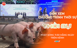 TP. Hồ Chí Minh: Ngành chăn nuôi tìm giải pháp trước sức ép giá thức ăn tăng cao | Thời sự trưa HTV ngày 8/10/2026