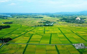 Sửa đổi, bổ sung quy định về phân cấp, phân quyền, phân định thẩm quyền trong lĩnh vực đất đai